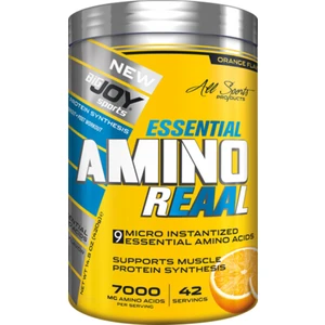 Bigjoy Sports Essentıal Amino Asit  BCAA Portakal Aroma 420g