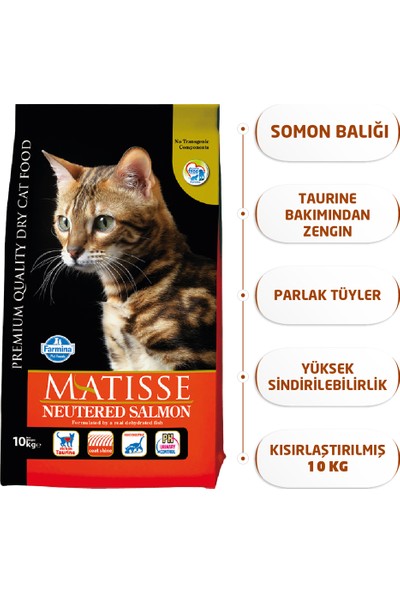 Matisse Neutered Kısırlaştırılmış Somonlu Kuru 10 Kg Kedi Maması