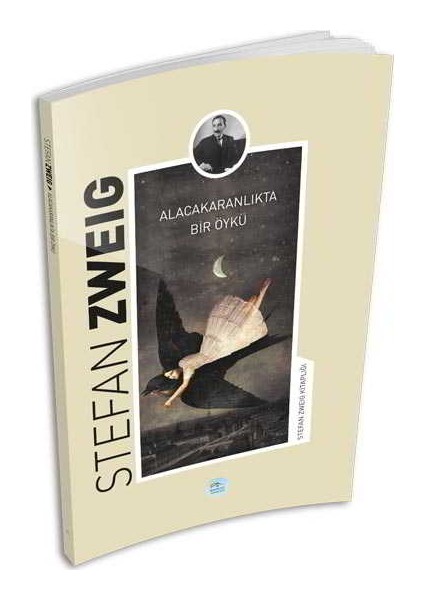 Alacakaranlıkta Bir Öykü - Stefan Zweig - Maviçatı Yayınları