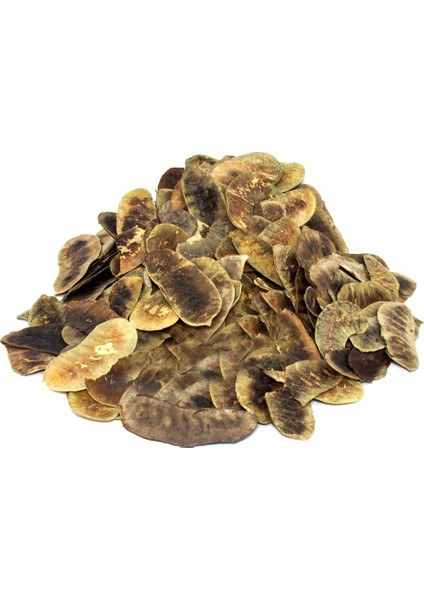 Açlık Otu 100 gr