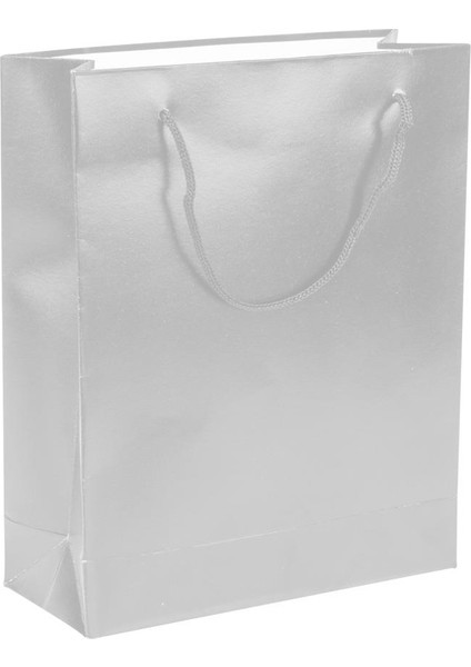 Gümüş Karton Çanta 17 x 24 cm 25'li