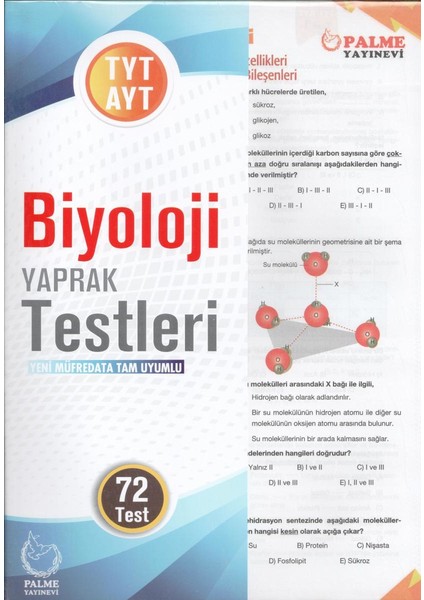 TYT-AYT Biyoloji Yaprak Test