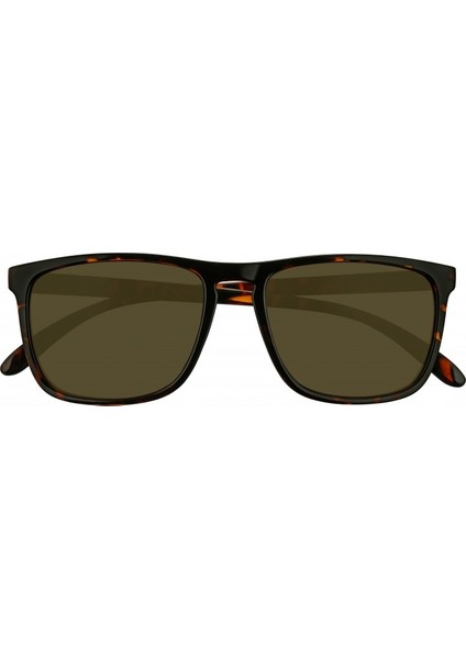 Z-Ob39-03 Sunglasses Çakmak modelleri