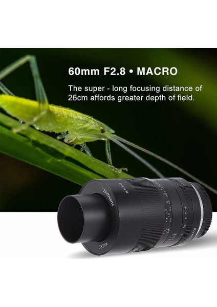60mm F2.8 Macro APS-C Lens M43 (Panasonic Olympus Mount)