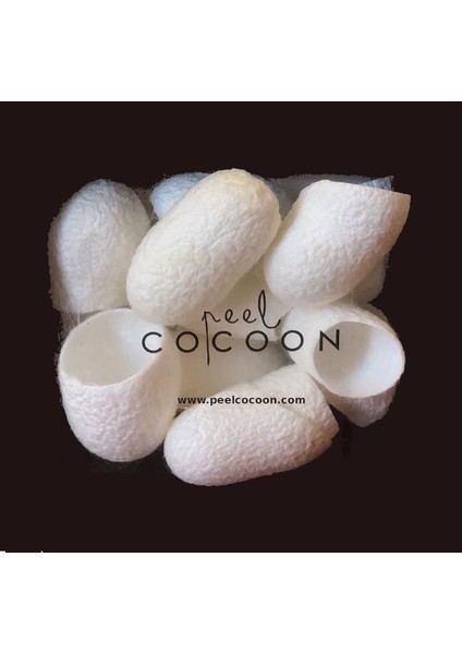 Ipek Kozası - Classic Cocoons