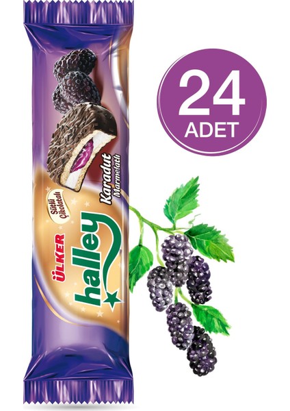 Halley Mini Karadut Dolgulu 74 gr (24 Adet)
