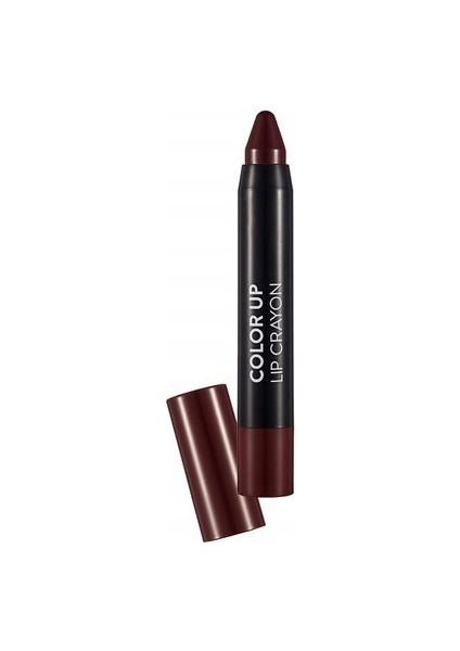 - Ruj - Color Up Lip Crayon 009 Mauve 8690604503360 33000035