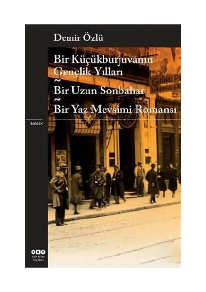 Bir Küçükburjuvanın Gençlik Yılları Bir Uzun Sonbahar Bir Yaz Mevsimi Romansı - Demir Özlü