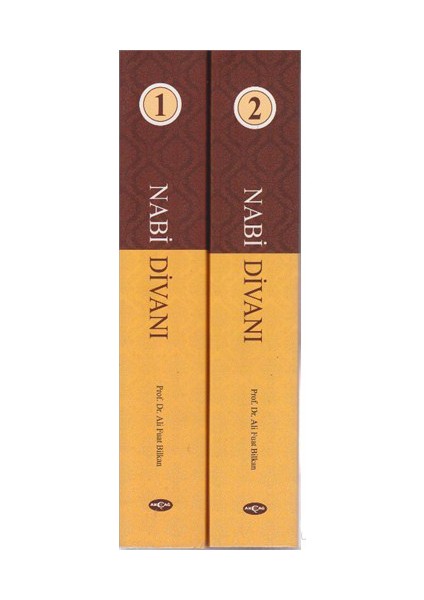 Nabi Divanı (2 Kitap Takım)-Ali Fuat Bilkan