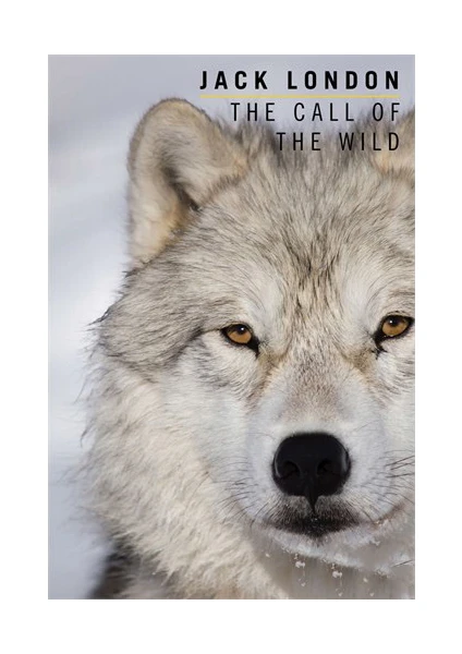 The Call Of The Wild-Jack London