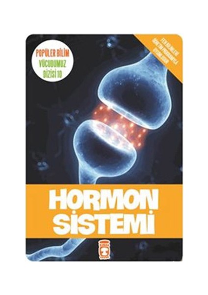 Hormon Sistemi