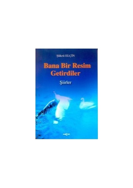 Bana Bir Resim Getirdiler-Şükrü Elçin