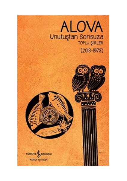 Unutuştan Sonsuza Toplu Şiirler: 2013 - 1973 - Alova
