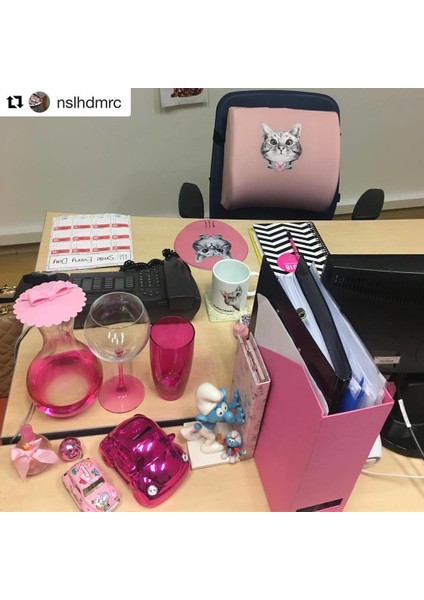 Office Küp Bel Yastığı Ofis Koltuk Minderi Pembe Meraklı Kedi
