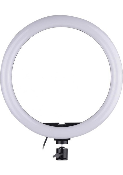 Kuaför Makyaj Çekimleri Youtube Twitch Ring Light Sürekli 10" LED