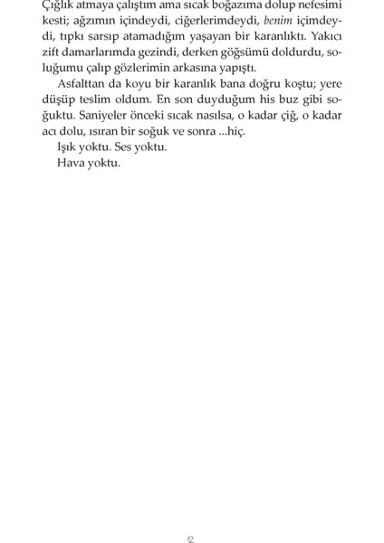Ada - Lynne Matson