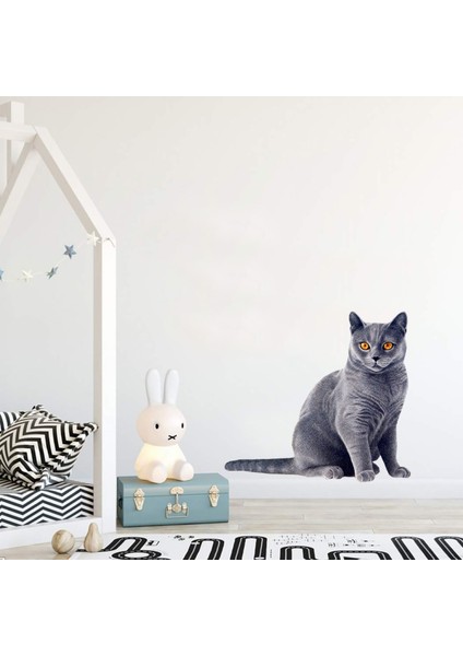 Areksan Reklam Gri Kedi Çocuk Odası Sticker