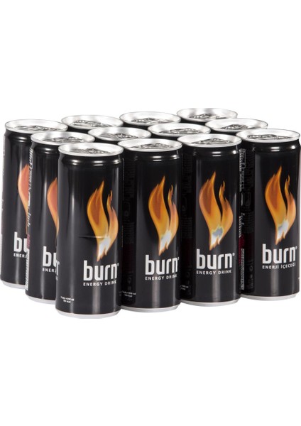 Enerji İçeceği 250 ml (12'li)