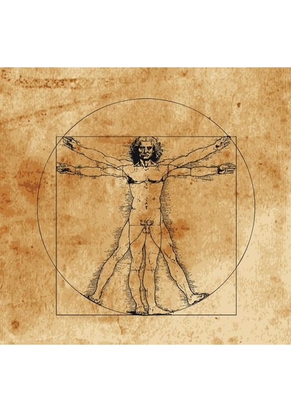 Vitruvian Adamı Leonardo Da Vinci Kanvas Tablo