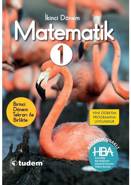 1. Sınıf Matematik HBA 2. Dönem