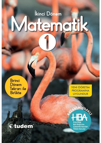 Tudem Yayınları 1. Sınıf Matematik HBA 2. Dönem