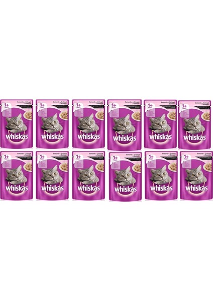 Pouch Somonlu Kedi Maması 12 Al 8 Öde 12 x 100 g fiyatları