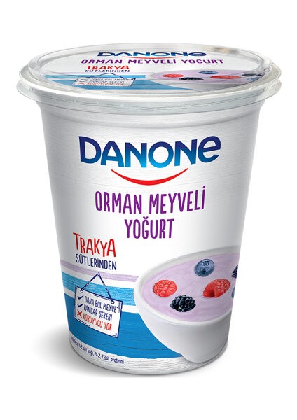 Yoğurt Meyveli Orman Meyveli 450 Gr