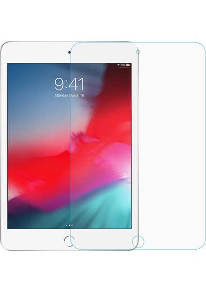 Apple iPad Mini 5 7.9'' 2019 (A2133-A2124-A2125-A2126) Temperli Cam Ekran Koruyucu