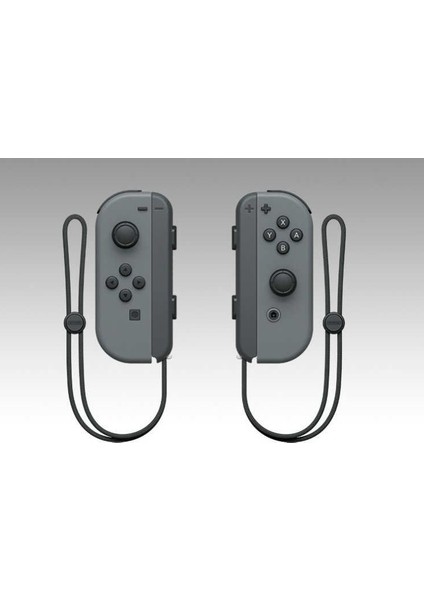 Joy-Con L/R Gray