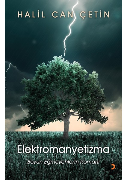 Elektromanyetizma - Halil Can Çetin