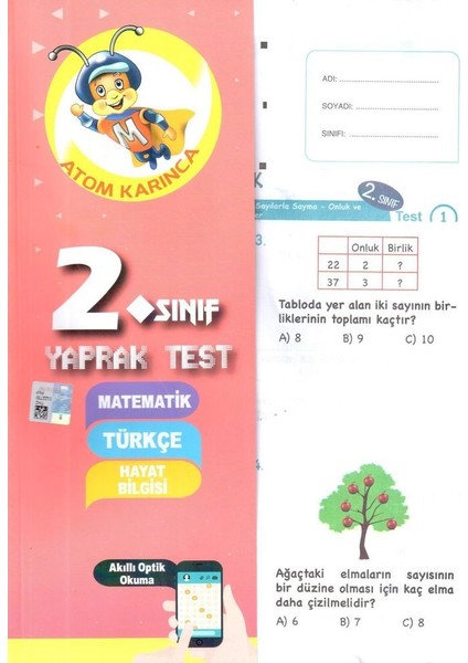 2. Sınıf Tüm Dersler Yaprak Test