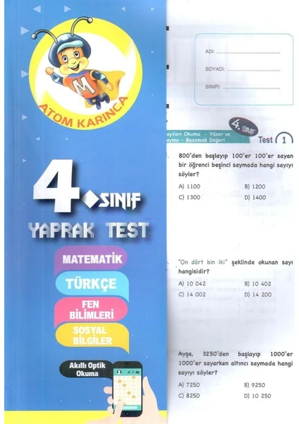 Molekül Yayınları 4. Sınıf Tüm Dersler Yaprak Test