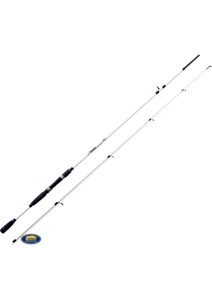 Saltwater Spın 2.10Mt 40gr Spınnıng Kamışı