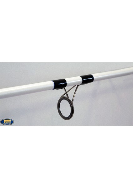 Saltwater Spın 2.10Mt 40gr Spınnıng Kamışı