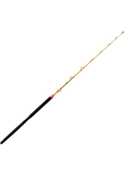 Acid Trolling 198cm 10-30lb Tekne Kamışı