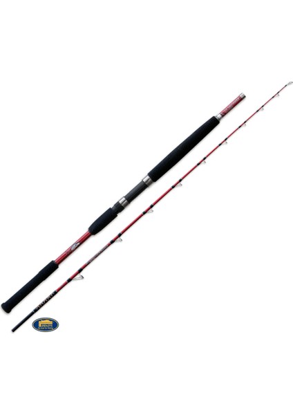 Slow Jıggıng Boat Up To 2.10 mt 160g Slowjig Kamışı