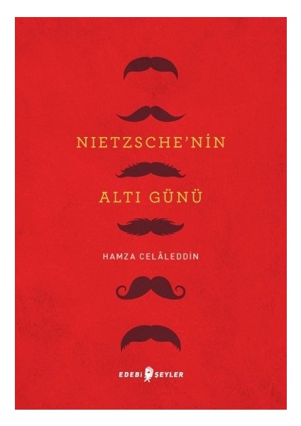 Nietzsche’nin Altı Günü - Hamza Celâleddin