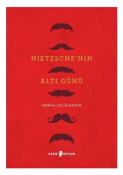 Nietzsche’nin Altı Günü - Hamza Celâleddin