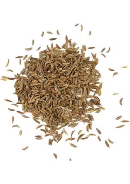 Maydanoz Tohumu 100 gr