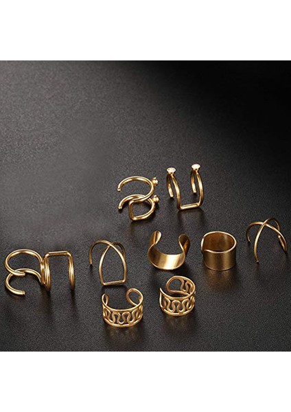 Gold Ip Çelik 6 Takım Kıstırma Bayan Küpe EB66SR fiyatları