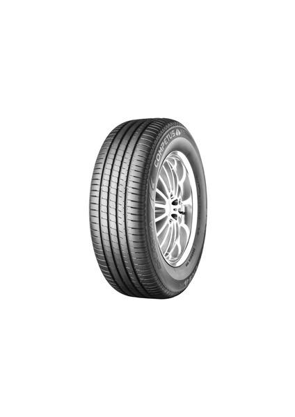 275/45 R19 108Y XL Competus H/P 2 SUV Yaz Lastiği ( Üretim Yılı: 2023 )