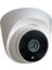 2mp 1080P Ir Dome Atom LED Ip Kamera SN-4136 Ip 1