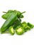 Jalapeno Biberi 30'lu Kırmızı Biber 30'lu + Torf + Saksı + Tohum 2