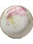 Cosmos Desen2 Kase 16 cm 1