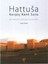 Hattusa Kerpiç Kent Suru - (Bir Rekonstrüksiyon Çalışması)-Jürgen Seeher 1