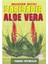 Mucize Bitki Sarı Sabır Aloe Vera (Bitki-017) - Muhammed Kemal Abdülaziz 1