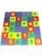 Eva Puzzle 1