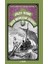Arzın Merkezine Seyahat - Jules Verne 1