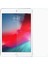 Apple iPad Mini 5 7.9'' 2019 (A2133-A2124-A2125-A2126) Temperli Cam Ekran Koruyucu 1