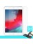Apple iPad Mini 5 7.9'' 2019 (A2133-A2124-A2125-A2126) Temperli Cam Ekran Koruyucu 2
